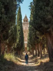 Rabat to Azrou cedar forest Travel